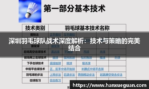 深圳羽毛球队战术深度解析：技术与策略的完美结合